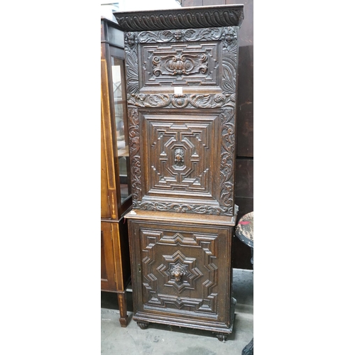 1018 - A carved oak narrow cupboard, width 60cm depth 28cm height 176cm