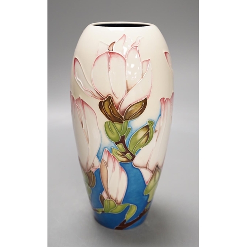 1436 - A Moorcroft 'sunshine magnolia' vase by Paul Hilditch, limited edition 10/100, 2011, boxed,18.5 cms ... 