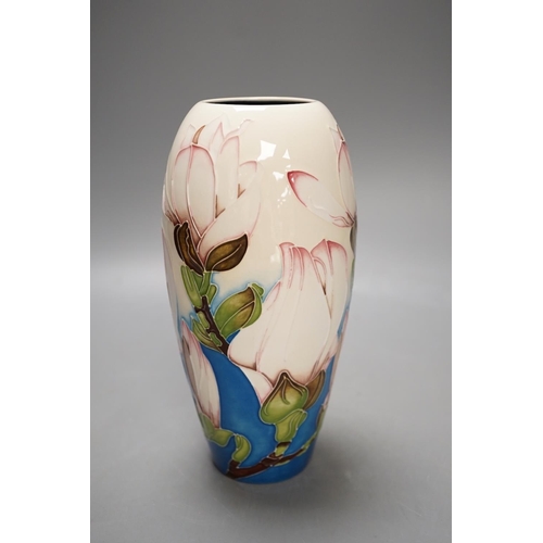 1436 - A Moorcroft 'sunshine magnolia' vase by Paul Hilditch, limited edition 10/100, 2011, boxed,18.5 cms ... 