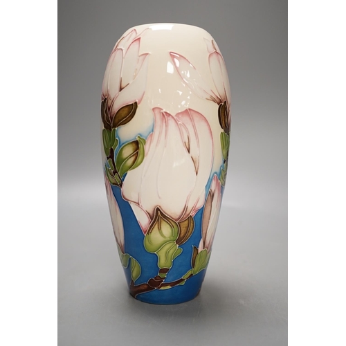 1436 - A Moorcroft 'sunshine magnolia' vase by Paul Hilditch, limited edition 10/100, 2011, boxed,18.5 cms ... 