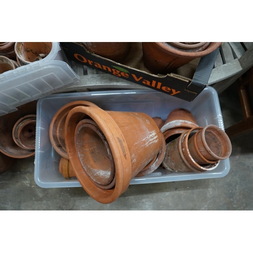 1080 - Approximately 100 terracotta garden pots, largest diameter 33cm height 28cm