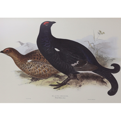 1 - ° ° Lear (Edward). Illustrations of Birds, drawn for John Gould, collected and introduced by David A... 