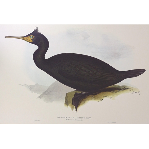 1 - ° ° Lear (Edward). Illustrations of Birds, drawn for John Gould, collected and introduced by David A... 