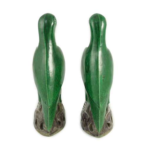 185 - A pair of Chinese green and aubergine glazed models of parrots, 19th century, each figure standing o... 