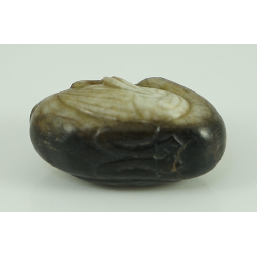 223 - A Chinese white and black jade 'duck' pebble carving, Song dynasty or later the duck with its head b... 