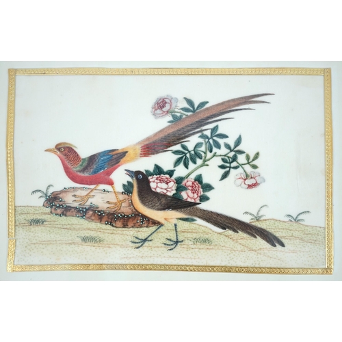 268 - A set of 16 Chinese pith paintings of birds and flowers, mid 19th century, each finely painted with ... 