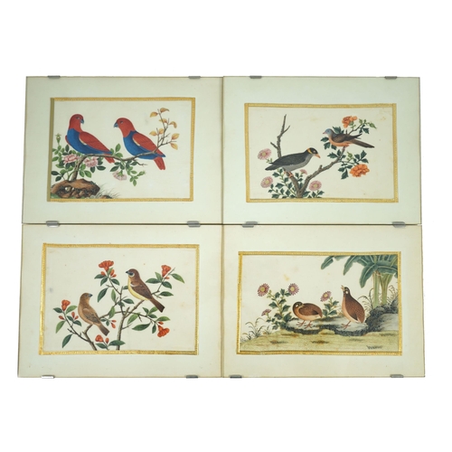 268 - A set of 16 Chinese pith paintings of birds and flowers, mid 19th century, each finely painted with ... 