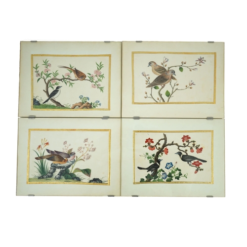 268 - A set of 16 Chinese pith paintings of birds and flowers, mid 19th century, each finely painted with ... 