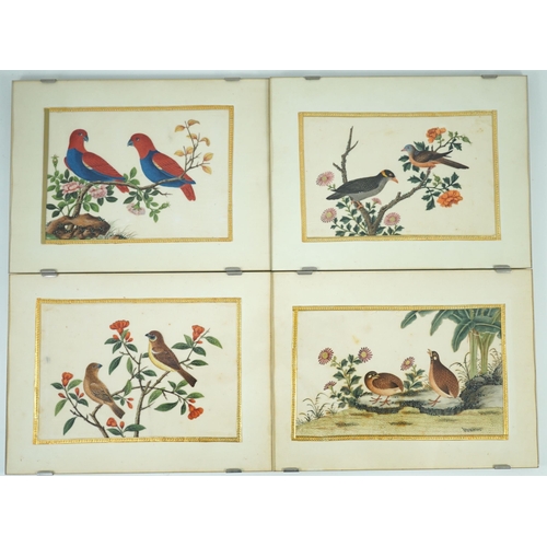 268 - A set of 16 Chinese pith paintings of birds and flowers, mid 19th century, each finely painted with ... 