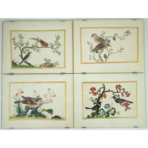 268 - A set of 16 Chinese pith paintings of birds and flowers, mid 19th century, each finely painted with ... 