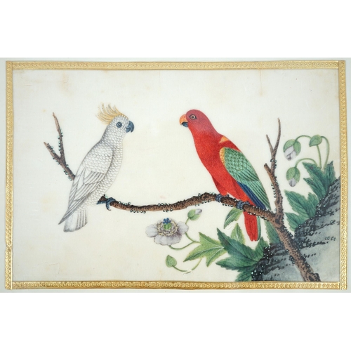 268 - A set of 16 Chinese pith paintings of birds and flowers, mid 19th century, each finely painted with ... 