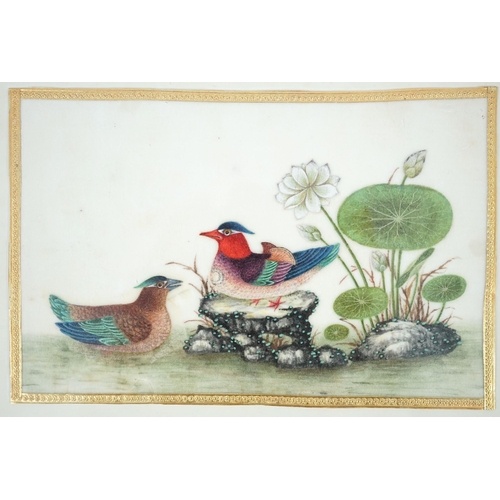 268 - A set of 16 Chinese pith paintings of birds and flowers, mid 19th century, each finely painted with ... 