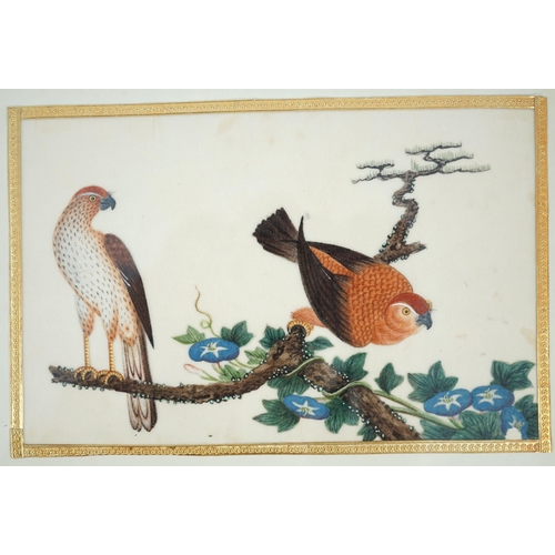 268 - A set of 16 Chinese pith paintings of birds and flowers, mid 19th century, each finely painted with ... 