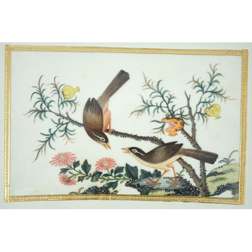 268 - A set of 16 Chinese pith paintings of birds and flowers, mid 19th century, each finely painted with ... 