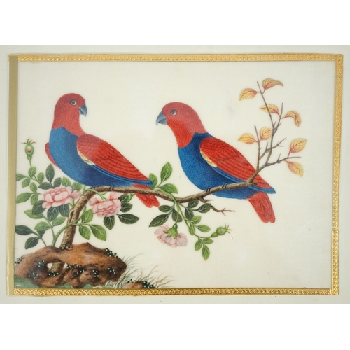 268 - A set of 16 Chinese pith paintings of birds and flowers, mid 19th century, each finely painted with ... 