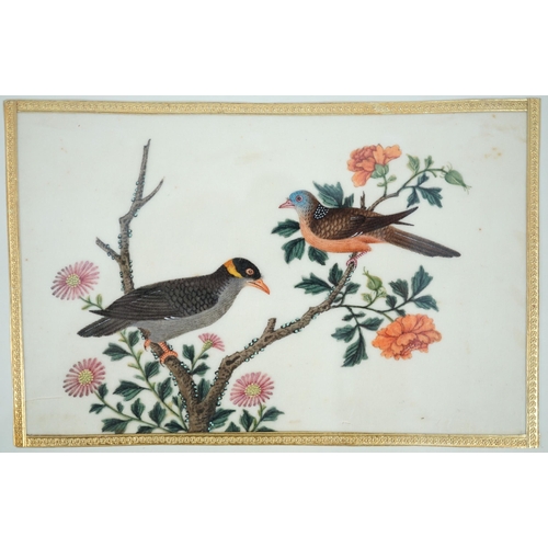 268 - A set of 16 Chinese pith paintings of birds and flowers, mid 19th century, each finely painted with ... 