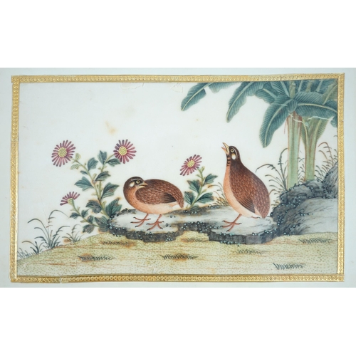 268 - A set of 16 Chinese pith paintings of birds and flowers, mid 19th century, each finely painted with ... 