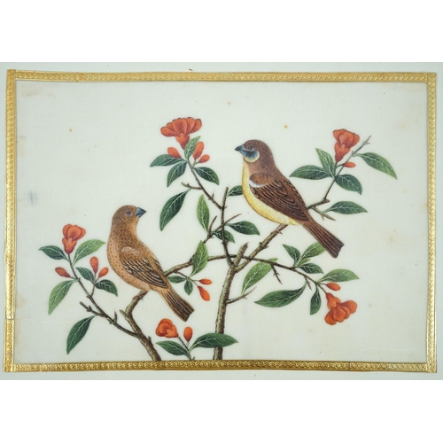 268 - A set of 16 Chinese pith paintings of birds and flowers, mid 19th century, each finely painted with ... 