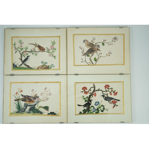 268 - A set of 16 Chinese pith paintings of birds and flowers, mid 19th century, each finely painted with ... 