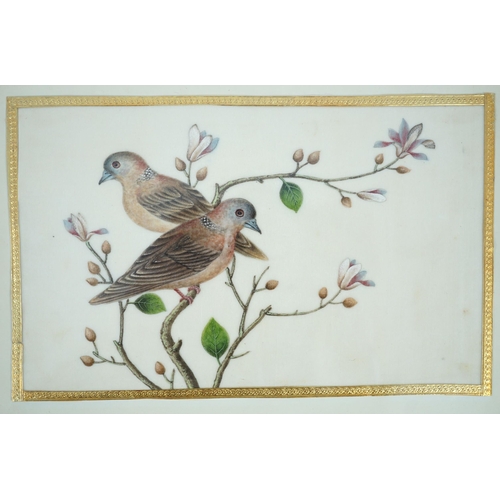 268 - A set of 16 Chinese pith paintings of birds and flowers, mid 19th century, each finely painted with ... 