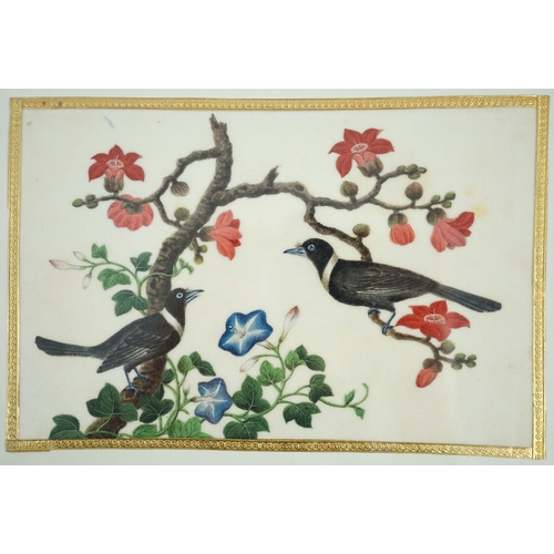 268 - A set of 16 Chinese pith paintings of birds and flowers, mid 19th century, each finely painted with ... 