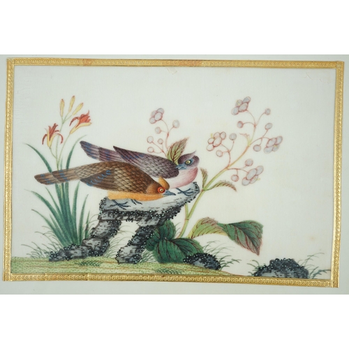 268 - A set of 16 Chinese pith paintings of birds and flowers, mid 19th century, each finely painted with ... 