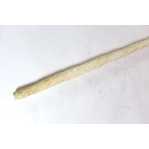 39 - A large unworked Narwhal tusk, c.1970, with CITES certificate 616984/01 permit for sale issued by AP... 