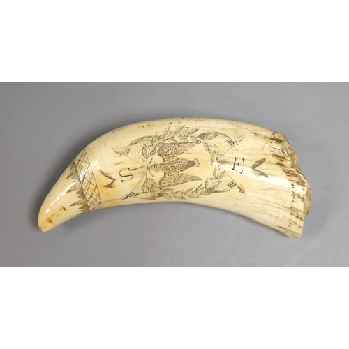 1437 - A 19th century scrimshaw sperm whale's tooth, 19.5 cms long, depicting a whaling scene, the reverse ... 