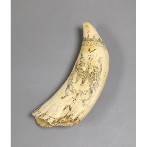 1437 - A 19th century scrimshaw sperm whale's tooth, 19.5 cms long, depicting a whaling scene, the reverse ... 