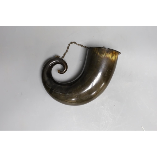 1459 - A large rams horn mull,23cms wide,