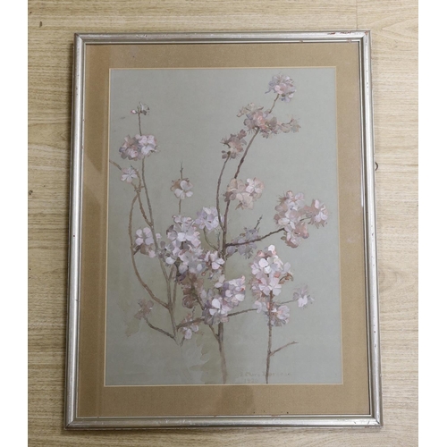 1591 - Eliza Mary Burgess (b.1873), watercolour, Study of prunus blossom, signed and dated 1926, 49 x 35cm... 