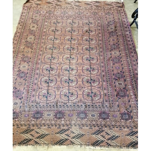 155 - A Bokhara red ground rug, 200 x 148cm