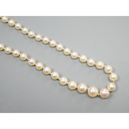 967 - A single strand graduated cultured pearl necklace, with four stone diamond set white metal clasp, 50... 