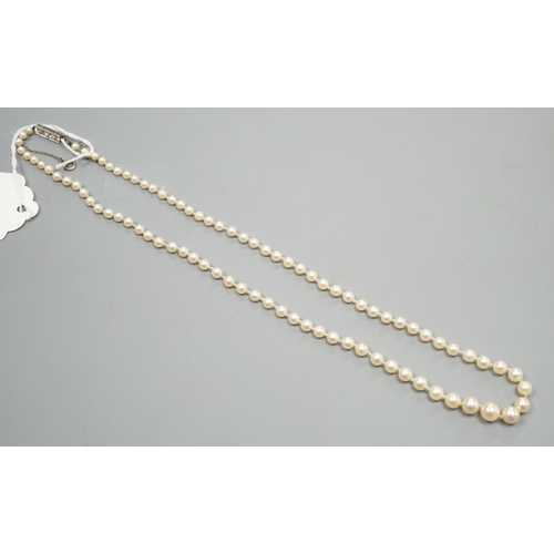 967 - A single strand graduated cultured pearl necklace, with four stone diamond set white metal clasp, 50... 