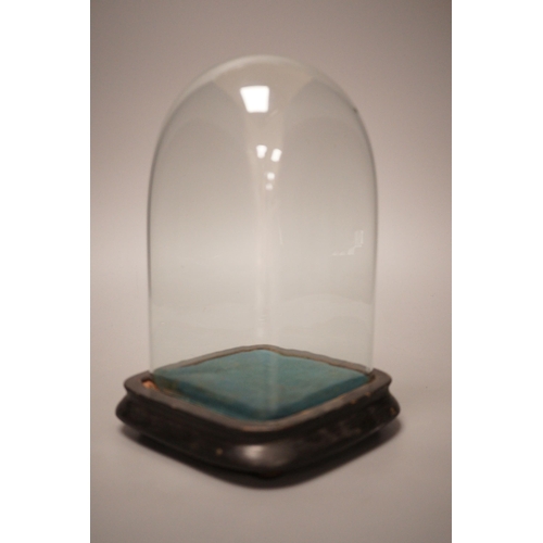 1271 - A 19th century glass dome and stand, 22cm