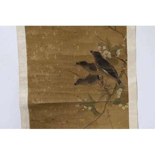 170 - A Chinese scroll painting on silk of blackbirds perched on a blossoming branch, 19th century, inscri... 