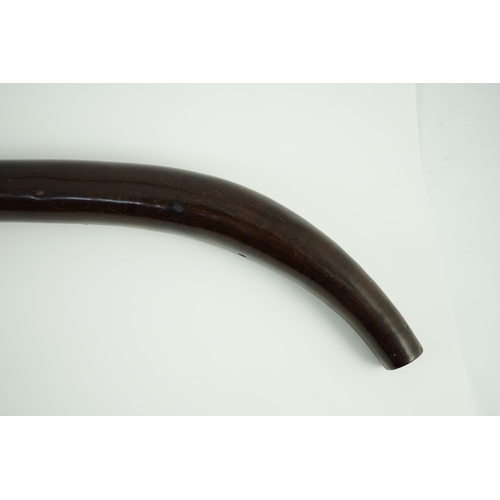 18 - A Fijian curved hardwood dancing club, of rounded tapered form, 62cm long