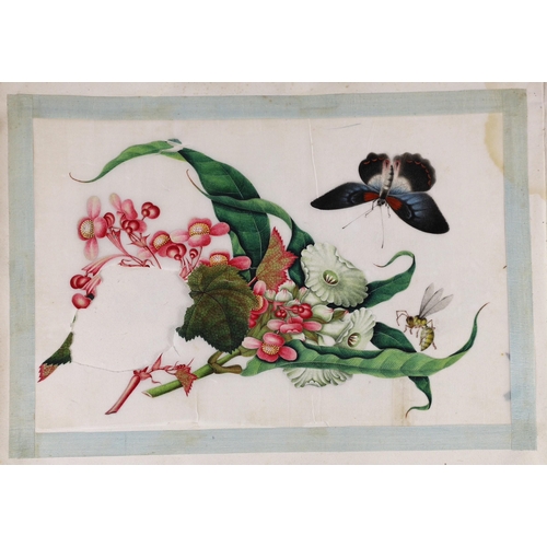 181 - Two Chinese albums of pith paintings, 19th century, the first album with red stamp Yunqua dealer in... 