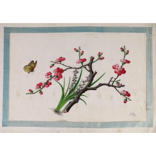 181 - Two Chinese albums of pith paintings, 19th century, the first album with red stamp Yunqua dealer in... 