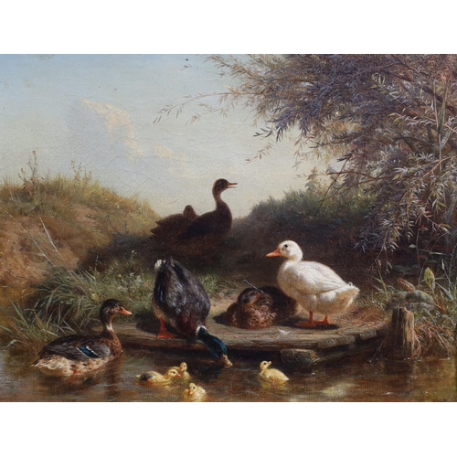 264 - Carl Jutz (German, 1838-1916) Chickens in a field & Ducks beside a streampair of oils on canvassigne... 