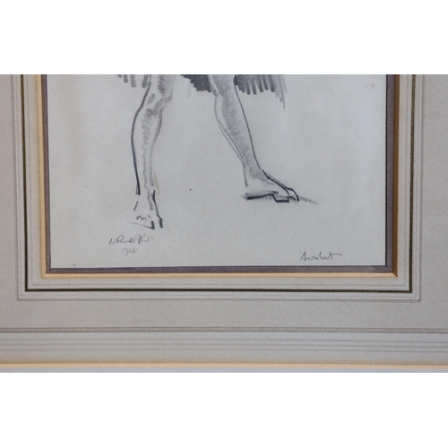 308 - § § Sir William Russell Flint (1880-1969) 'Acrobat'pencil on papersigned, titled and dated 192521 x ... 