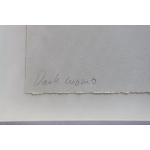 347 - § § Tracey Emin RA (b.1963) 'Dark Womb, 2010'soft ground etchingsigned in pencil, titled and numbere... 