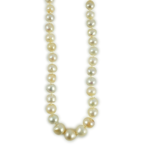 397 - A single strand graduated natural saltwater pearl necklace, with Gem and Pearl Laboratory report dat... 