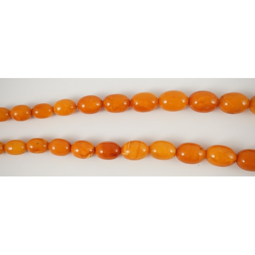 435 - A single stand graduated oval amber bead necklace, 76cm, gross weight 85 grams.