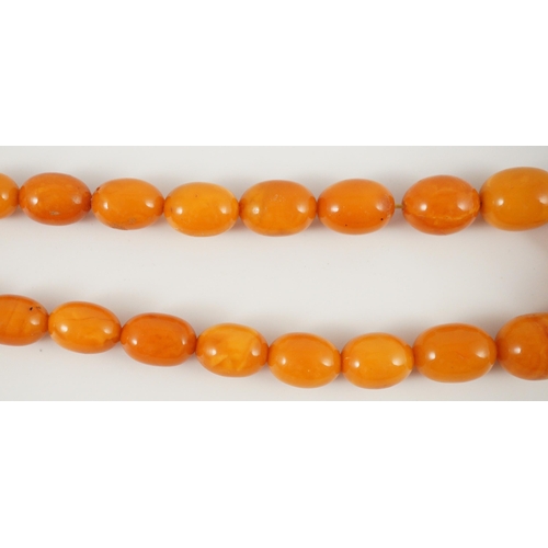 435 - A single stand graduated oval amber bead necklace, 76cm, gross weight 85 grams.