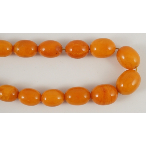 435 - A single stand graduated oval amber bead necklace, 76cm, gross weight 85 grams.