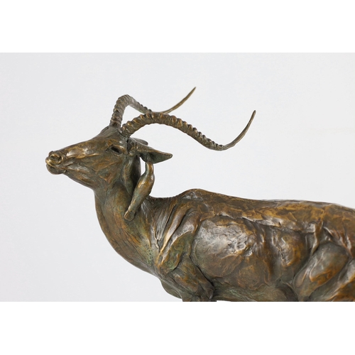 52 - Robert Glen (African/American b.1940). A bronze study of an Eland, signed in the bronze and dated 19... 