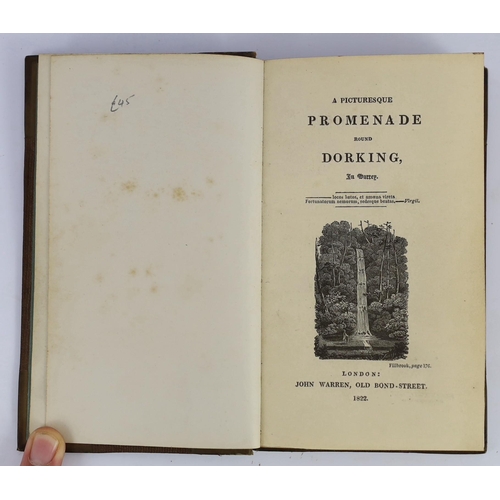 133 - ° ° DORKING: Thorne, W. - The Garden of Surrey: or a Sketch of Dorking, and of the beautiful country... 