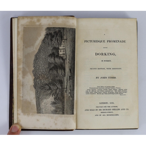 133 - ° ° DORKING: Thorne, W. - The Garden of Surrey: or a Sketch of Dorking, and of the beautiful country... 