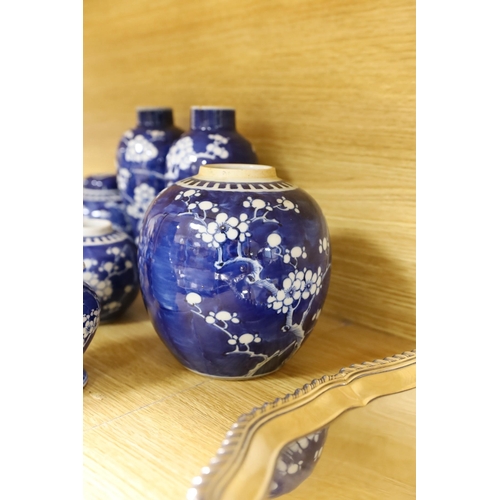 304 - A group of Chinese blue and white prunus vases and jars and covers and jars,pair of vases 23 cms hig... 